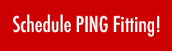Schedule-Ping-Fitting-Button
